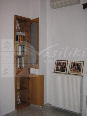 waiting room before2